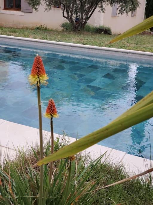 Reve En Luberon Villa Lauris Exterior photo