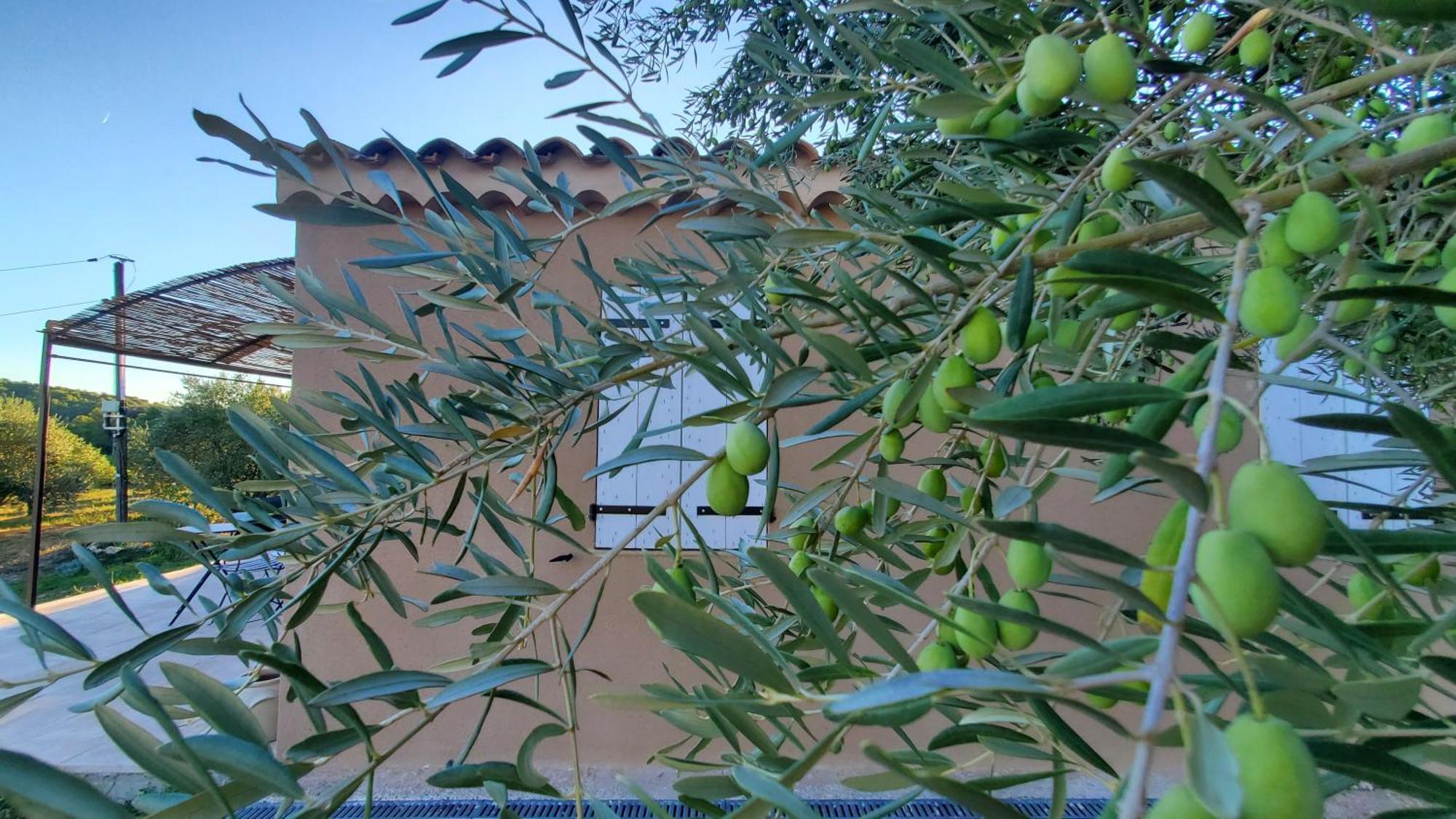 Reve En Luberon Villa Lauris Exterior photo